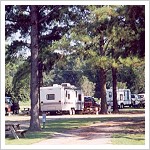 Enfield/Rocky Mount KOA - Enfield, North Carolina