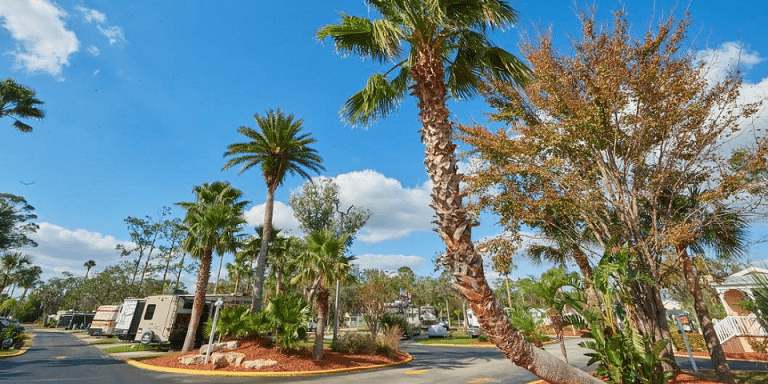 Tropical Palms RV Resort - Kissimmee, FL - RVBuddy.com